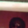 Willie Carr - @williecarr35 - TikTok