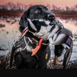 William Carruth - @william.carruth - Instagram