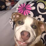 Willie Cash Brock - @willie_brock69 - Instagram