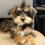 Willie Cash Keeling - @little_willie_style - Instagram