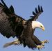Willie Catchings - Facebook