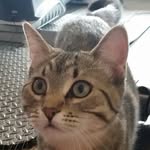 willie - @willie_catto_ - Instagram