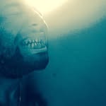 Willie chadwick Jr - @livelegacy_ - Instagram