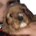 Will Chestnut - Facebook