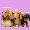 WillieMae & crew 🐾 - @willie.mae.mini.crew - TikTok