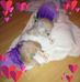 Willa Culpepper - Facebook