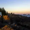 Willie Dandridge - @willie.dandridge4 - TikTok