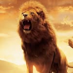 Willie David - @willie.david.73kit93th - Instagram