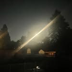 Will Downey - @weary_bear - Instagram
