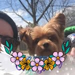 William Downey - @betteone63 - Instagram