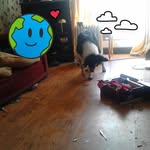 William Duffy - @willieduffy22 - Instagram
