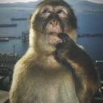 William Dyer - @alrite.will - Instagram