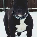 Willie Ewing - @willieewing57 - Instagram