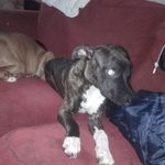 Willie Faye - @williefaye4 - Instagram