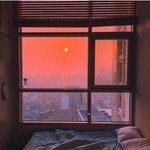 Rachell Reinbold - @williefreyer749 - Instagram