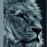 Willie Funk - @funk.willie - Instagram