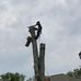 Will Futrell - Facebook