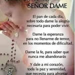 willy galván - @willy.galvan - Instagram