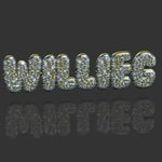 Willie Garth - @williegarth8 - Instagram