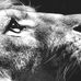 Willie German - Facebook