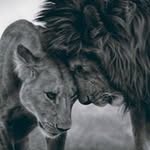 William Geter - @william.geter.56 - Instagram