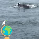 Willie Gill - @willie.gill.56 - Instagram