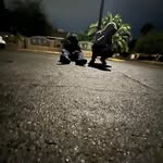 Willie Goodman - @2760_willie - Instagram