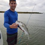 Willie Gordon - @williewqgordon - Instagram