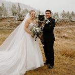 Will Grinstead - Facebook
