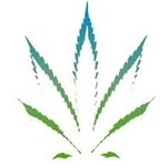 CBDBIoCare(Mississippi) - @willie_gross369 - Instagram
