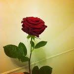 Willie Grosskreutz - @williegrosskreutz - Instagram
