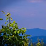 William Groves - @eagle.eye.studios - Instagram