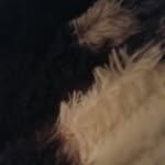 Willie Grubb - @grubbwillie - Instagram