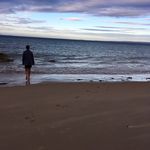 Will Hadley - @willhadley_spam - Instagram