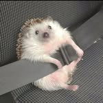 William - @willieham06 - Instagram
