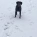 Willie Hamm - Facebook