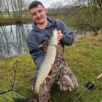 William Herbert - @willherb - Instagram