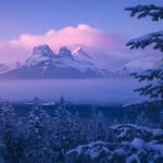 William D. Irwin - @williamd.irwin - Instagram