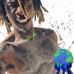 Willie Jaye Jr - Facebook