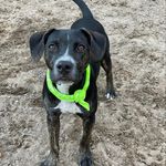 Jasper Willie Jeter - @jasperj_19 - Instagram
