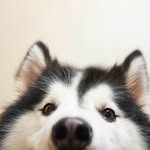 Willie Jin0914 - @darkjiness - Instagram