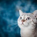 Willie Johnston - @fhdsjkjdre - Instagram