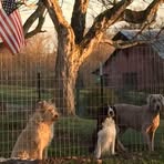 Willie Johnston - Facebook
