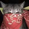 Blóndy blmé🤭 - @joycewillie95 - TikTok