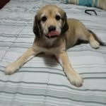 niño - @willi.ejunior - Instagram