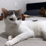 Willie Júnior - @_lwillie - Instagram