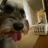 Will Kaiser - @wkaiser11 - TikTok