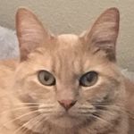 Will Katz - @willk06 - Instagram
