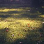 Willie Katz - @williekatz639 - Instagram