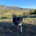 Will Kiser - Facebook